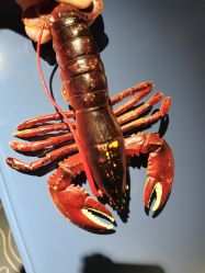 -MELAND CLUB亲子乐园·派对·餐厅(北京芳圆里ID MALL店)