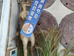 -乔家满族八大碗(流水沟店)