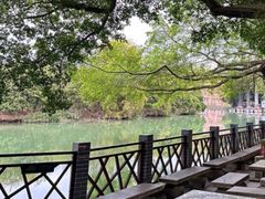 -小洲村