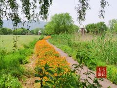 -长兴太湖图影湿地文化园
