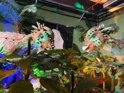 -恐龙探索乐园(磁器口店)