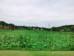 -上海怡沁园度假酒店