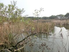 -西湖风景区-江洋畈生态公园