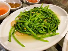 豆酱炒通菜-吴记富苑(朝阳店)