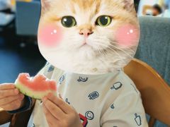 -海底捞火锅(世界城广场店)