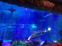 -沈阳海洋探索中心