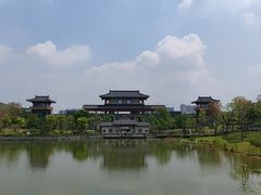-中山市树木园