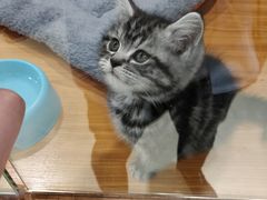 -龟与熊猫宠物公园(南坪店)