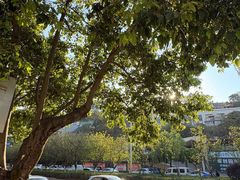 -长虫山生态公园风景林