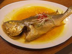 鸡汤蒸黄鱼-必点海鲜·鲅鱼水饺(鞍山西道店)