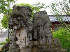 -南汇桃花村