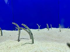 -上海海洋水族馆