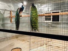 -厦门悦华酒店