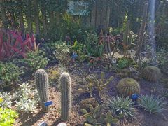 -中国科学院西双版纳热带植物园