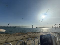 -星海广场