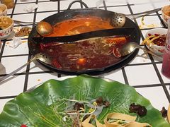 -朱光玉火锅馆(正弘城店)