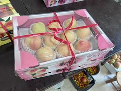 -南汇水蜜桃采摘(大团店)