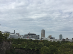 -大阪市立自然史博物馆
