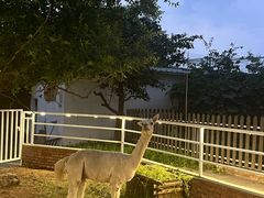 -丽泽山庄·生态怀柔菜·虹鳟鱼(红螺寺店)