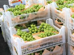 -西郊国际农产品交易中心