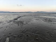 -深圳湾公园(南山区)