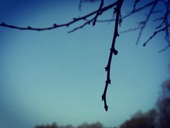 -沈阳辉山风景区