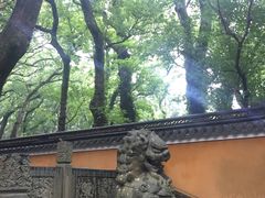-普陀山风景名胜区-法雨禅寺