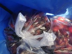 -三旗百汇商品城