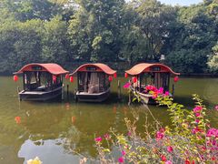 -侨美·唐荔园·40年地道粤菜