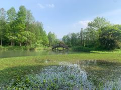 -西溪国家湿地公园