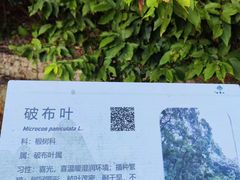 -广州市白云山风景名胜区