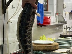 -大理.老字号渝记酸萝卜乌鱼(古城总店)