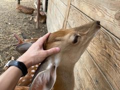 -安德鲁户外烧烤帐篷营地(马泉营店)