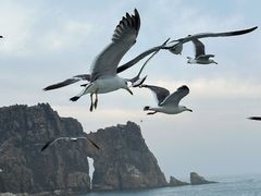-海驴岛(荣成市)