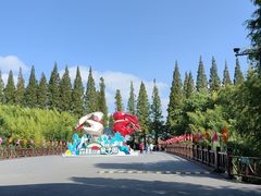 -黄海国家森林公园