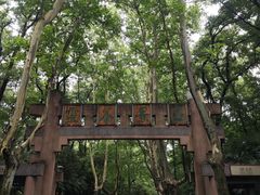 -灵谷景区