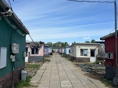 -大自然农场蔬菜草莓采摘园