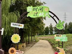 -杭州湾海上花田景区