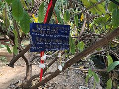 -呀路古热带植物园