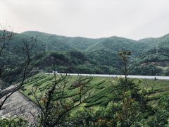 -东海大峡谷