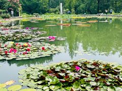 -国家植物园南园