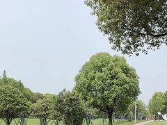 -大宁公园
