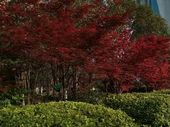 -郑州方特梦幻王国