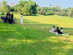 -长白岛森林公园