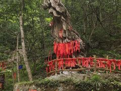 -燕子河大峡谷天坑仙境