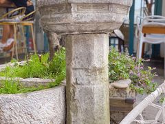 -喵屿·大理花园猫咖