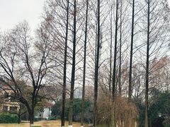 -环城公园-琥珀潭