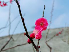 -北京明城墙遗址公园
