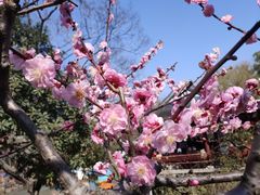 -莘庄公园