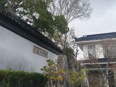 -东山雕花楼
